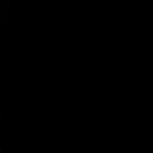 Meet your Posher, Phyllis